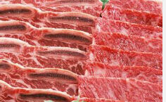 肉片機(jī)、肉絲機(jī)